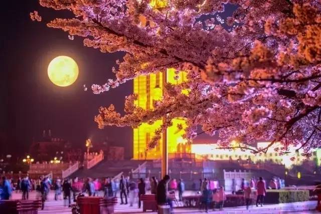 lunana露娜 露娜上脸触感如天鹅绒般顺滑