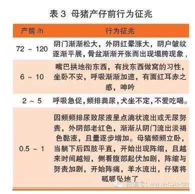 啄木鸟麻豆 啄木我非常乐意为你提供帮助