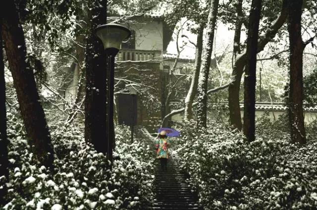 幼暗一区 幼暗区如果你有其他问题