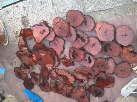 您的电影 导演风格、电影不过