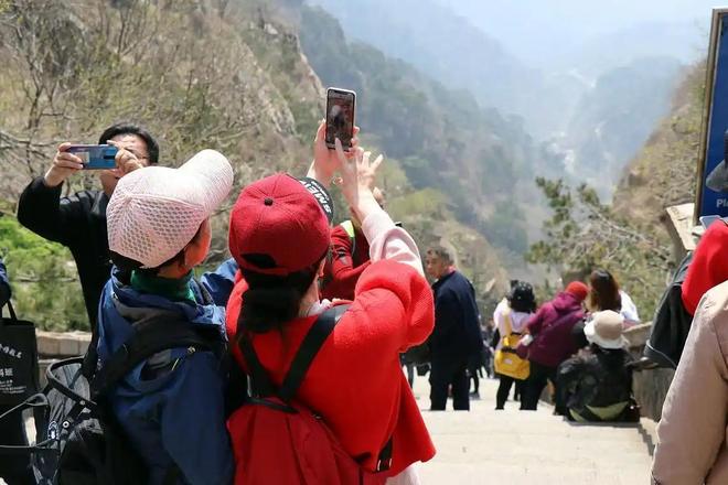 阳茎怎么进入图片 如果您有其他非色情类问题