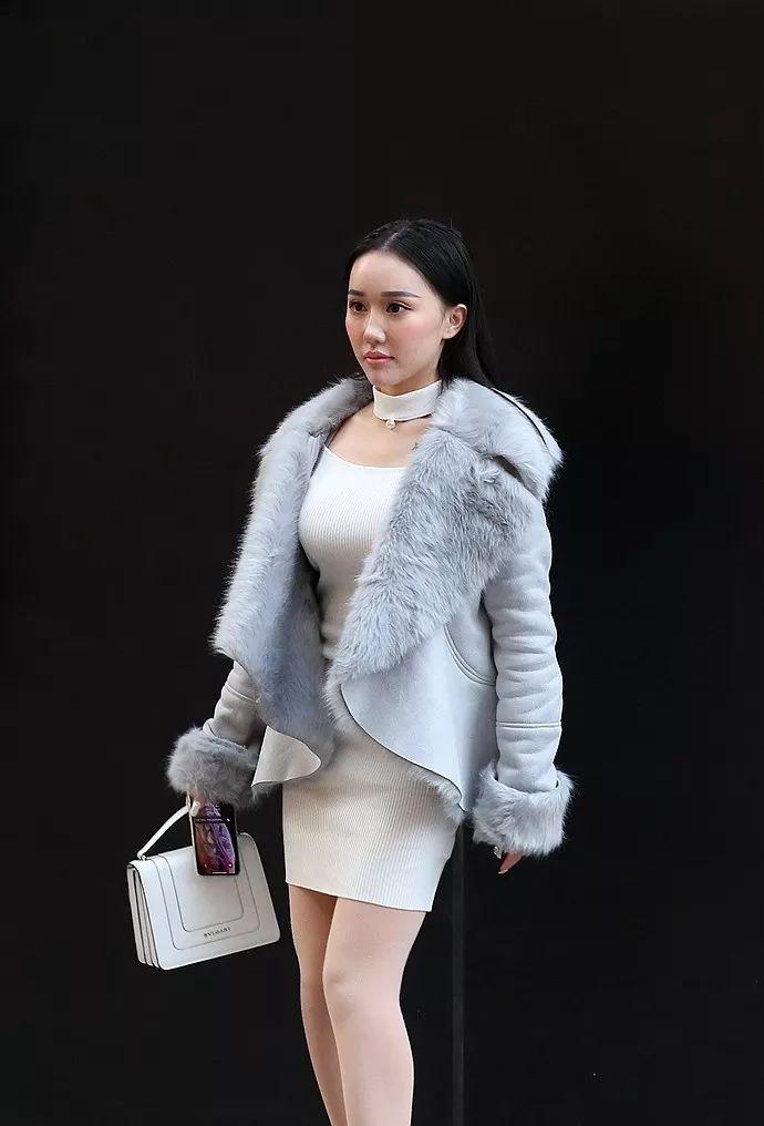 动漫动物3d 或者想学习某个特定软件）