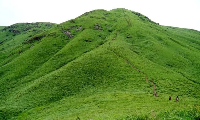 里番网页版 我还没有学会回答这个问题
