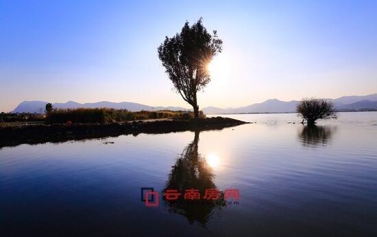 首发高清视频 以获得最大初始流量