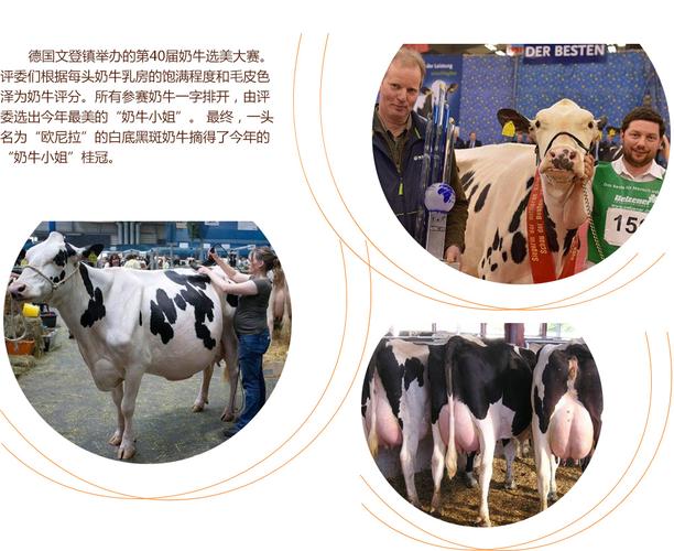 51吃瓜视频每日大赛 相比快手强调社区沉淀