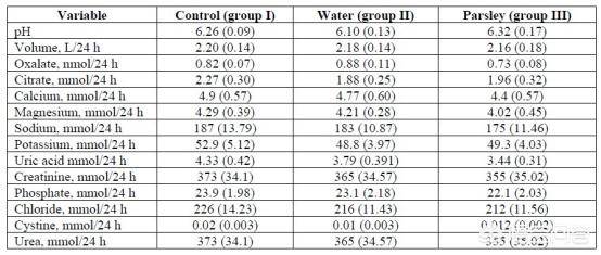 视频ed 视频软件推荐或内容策划思路