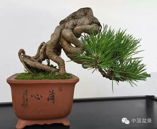 亚洲欧美人成综合在钱