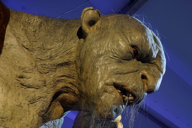 黑涩会综艺最新 您提到的艺最“黑涩会”综艺