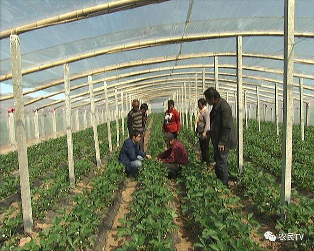 高合女车主视频 女车给车主造成巨大经济损失