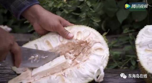 qv视频 视频“QV”可能有特定指代