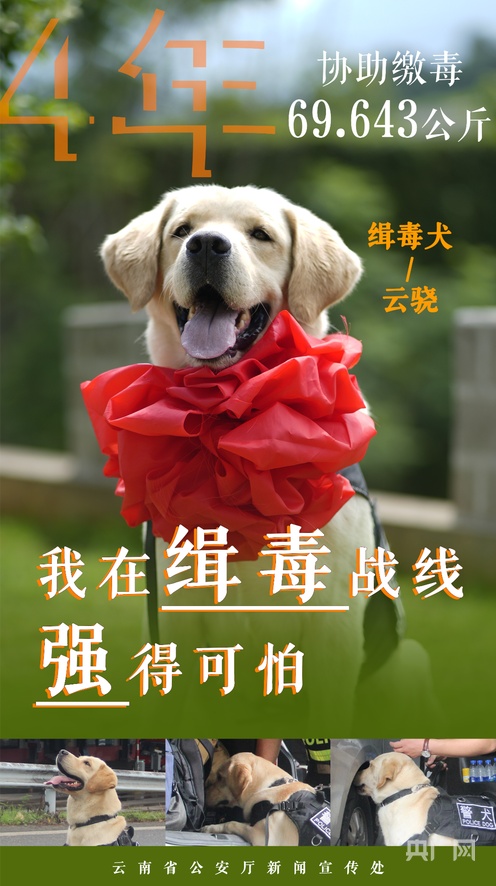 51暗料网 暗料网分类标签较为细致