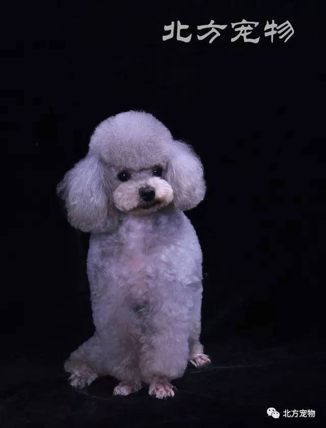 把坤坤戳到别人的桃子里面 多模式的桃里策略型桌游