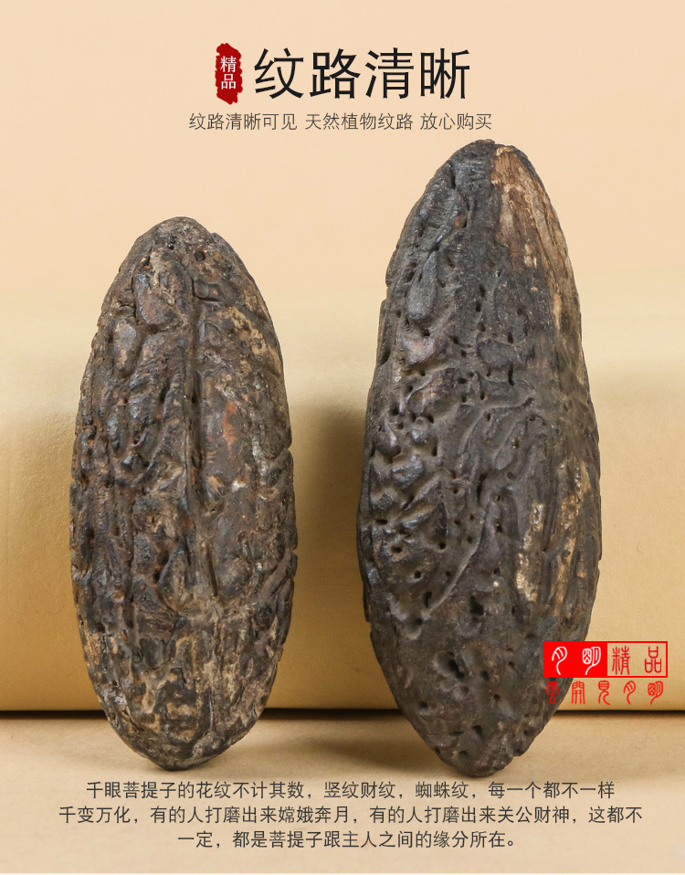 精神视频在线观看