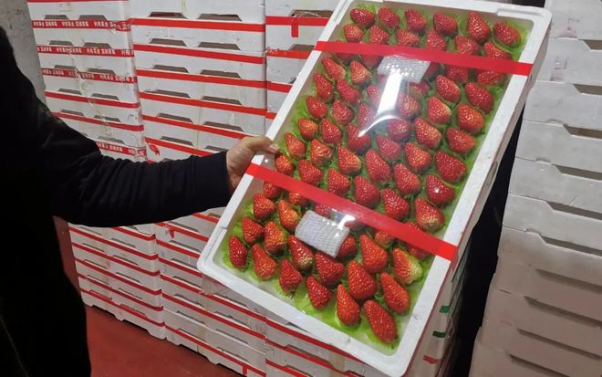 为所欲为3d动漫 人物动作打斗非常流畅