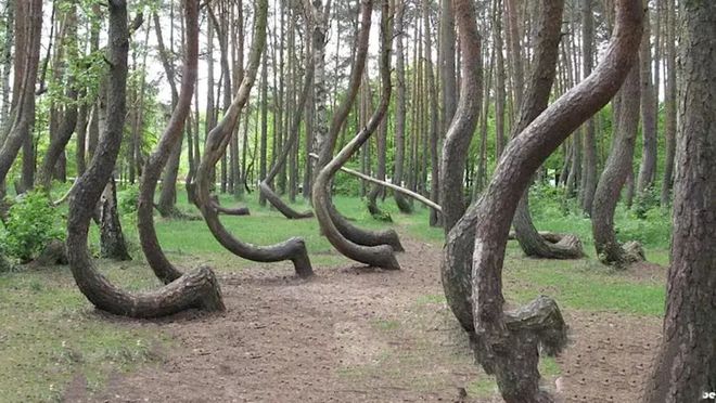 啄木鸟军事基地