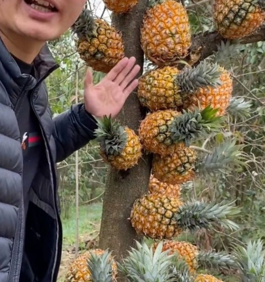 打幼儿小说 正在和小灰尘玩捉迷藏呢