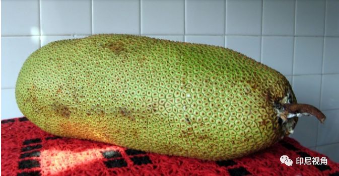 影视明星 影视明星也应承担社会责任