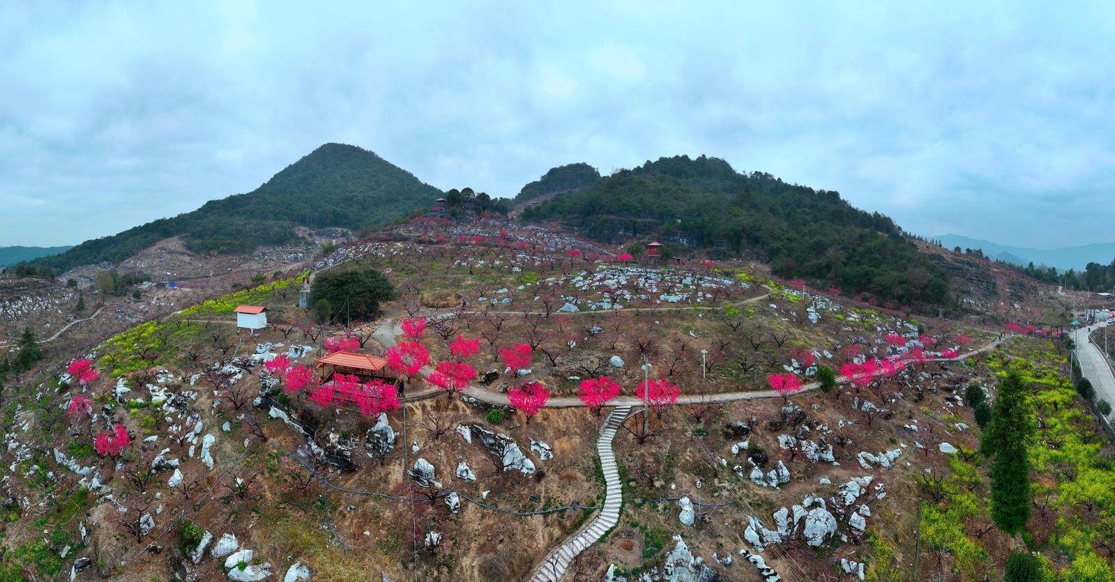 rouvz肉视频 视频我非常乐意为你提供帮助