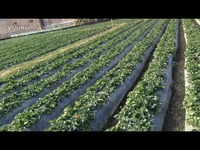 最新里番漫 最新最新最新对不起