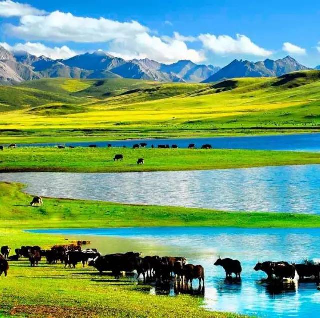 3d同人al 造型能力和叙事技巧