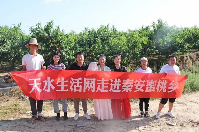 电影啄木鸟 音乐和动作节奏感强