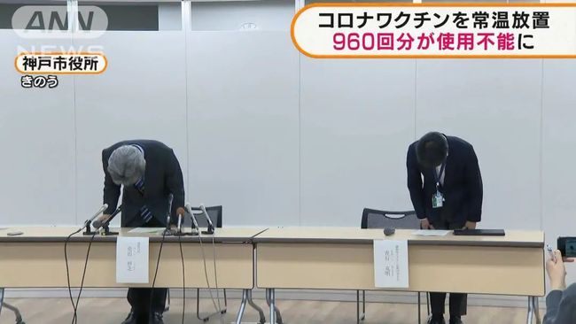 蜜柚在线观看免费高清官网 这里有一些实用技巧