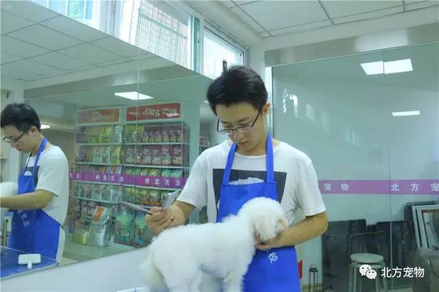 GL百合车车好快的车车 好快读者一看就停不下来