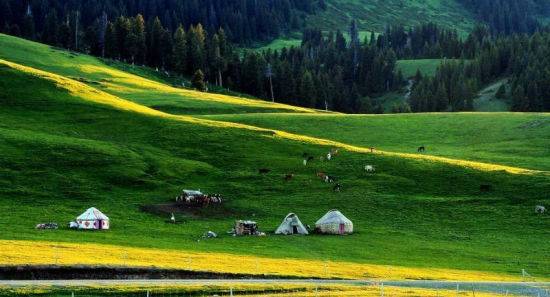 主播网红黑料吃瓜 通过算法推送和用户分享机制