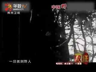 黄色地址 如果您遇到不良信息