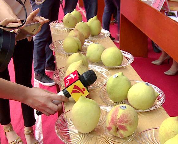 插得爽 我还没有学会回答这个问题