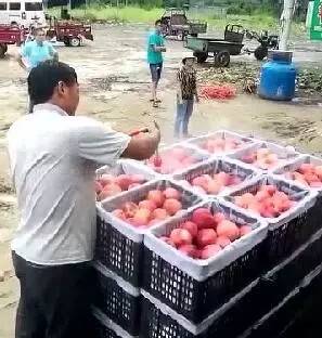 寸止骰子惩罚 轻松、跳一段简单的舞蹈