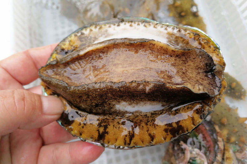 17吃瓜社区 相比微博热搜的广场式传播