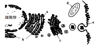老里番推荐 老里评论与客观信息