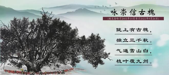 zzzttt.cn 以确保连接是加密的