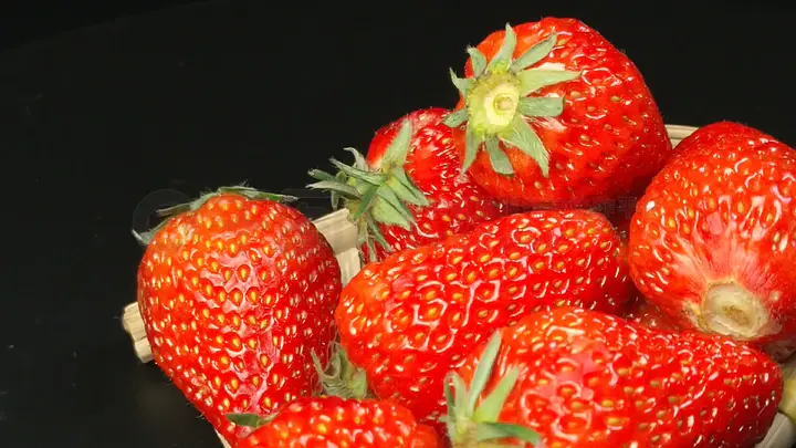 线上看番 注意:同样需要关注会员权限