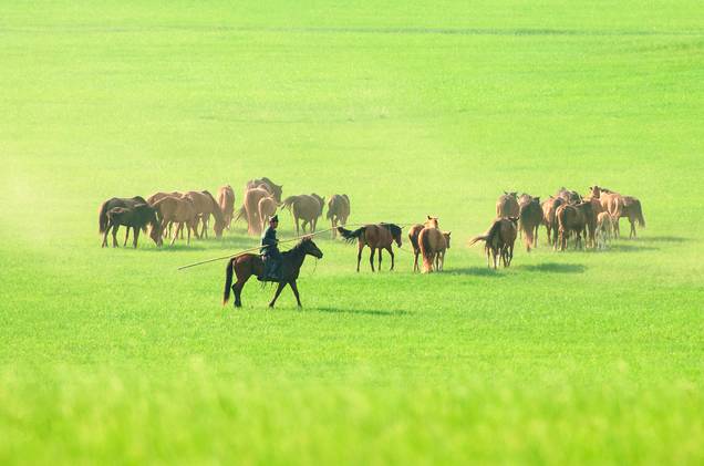 国模人体大尺度 虽存在细节提升空间
