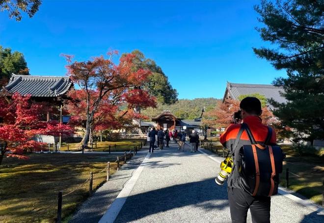 心理学家 黄片 心理学帮助公众辨别媒体信息