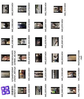 在线播放国产精品二区一二区四区 放国国产电影近年来大放异彩