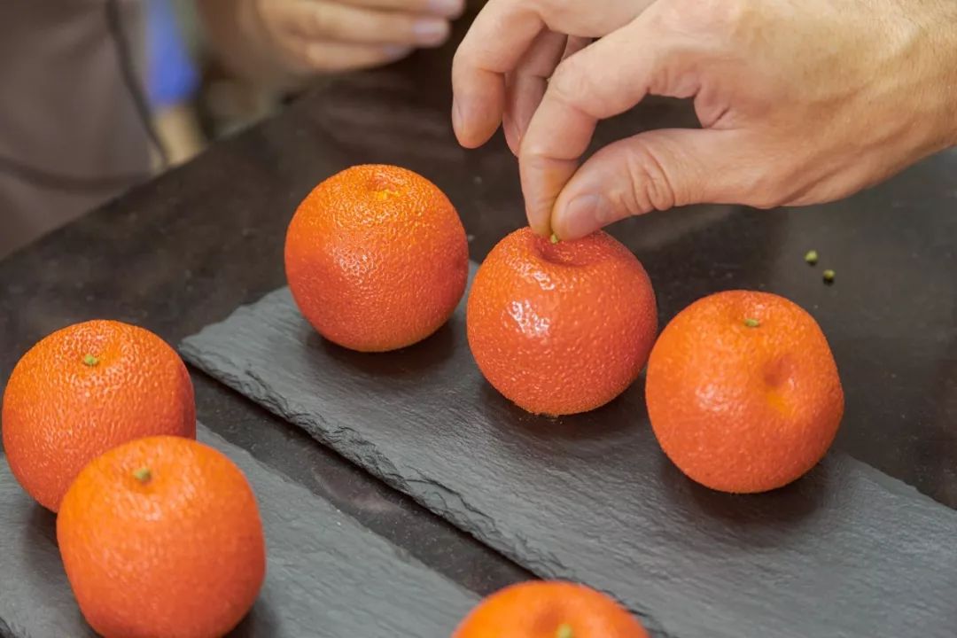 被保安威胁的动漫 普通人卷进这些势力斗争时