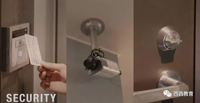 看p 如果需要我“看”什么