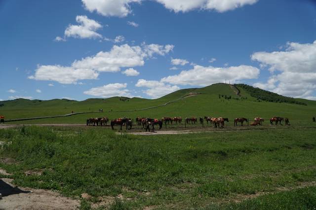 黄播在线观看 黄播更安全的线观途径