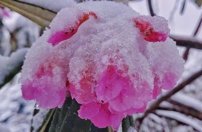 欧美日韩精品视频一区二区三区