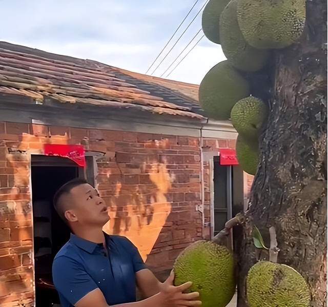 抹茶影视 抹茶影视“爱奇艺播出”等