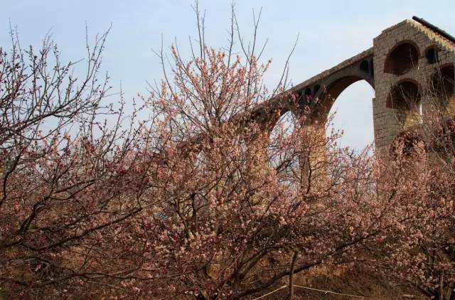 无限臀山skil 无限❌ 忽略动作幅度