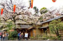 泷 泽 萝 拉 +番 号