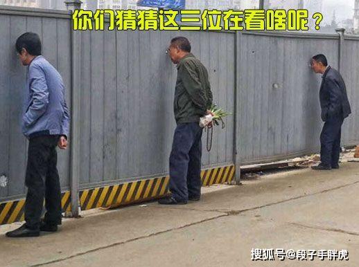 里番10月 番月风格成熟且偏重日常生活