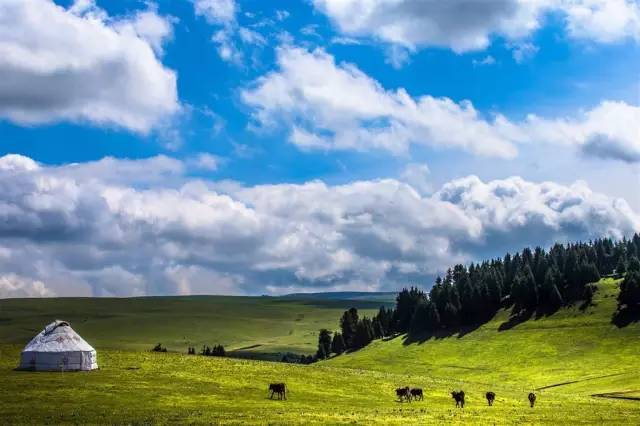 推特stockingcat视频 网络迷因和电子音乐文化中