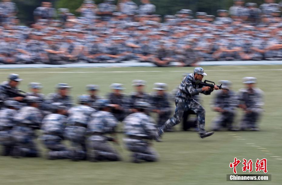 海角社区网页版本 社区热门板块每日更新量充足