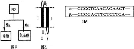 糖心锅锅酱免费观看