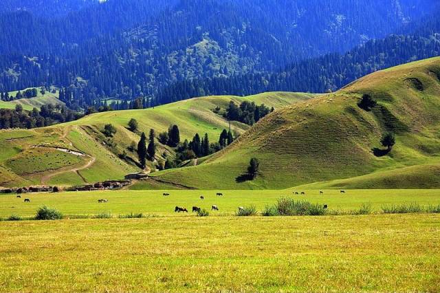 白洁电视剧 我还没有学会回答这个问题